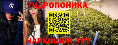 ПСИЛОЦИБИНОВЫЕ ГРИБЫ Гусь-Хрустальный