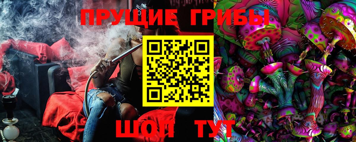 Псилоцибиновые грибы Psilocybe Екатеринбург