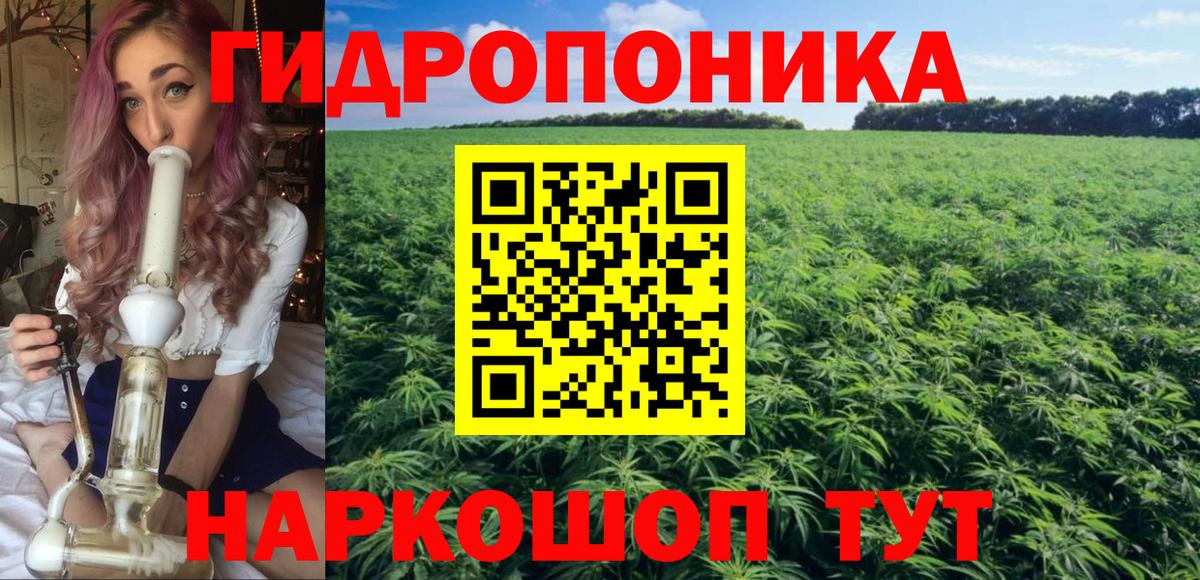Каннабис Bruce Banner Екатеринбург